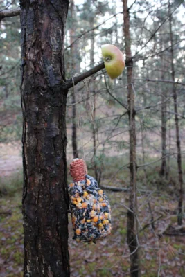 Foto des Albums: Tierweihnacht