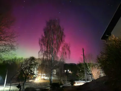 Foto des Albums: Nordlichter