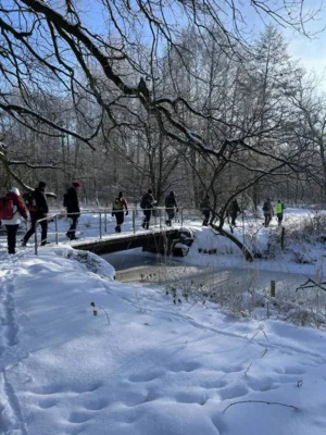 Foto des Albums: Trampelpfad_2026_01