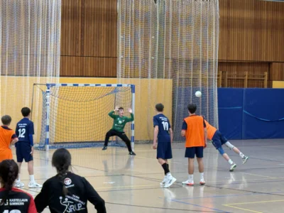 Foto des Albums: U16-Handballer gewinnen Regionalentscheid