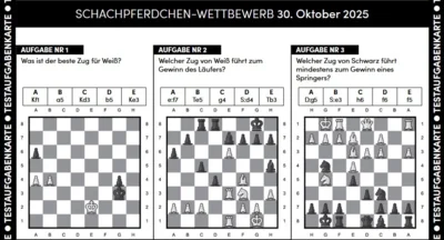 Foto des Albums: Denksport mit Köpfchen – die Schach-AG an unserer Schule