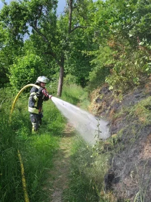 Foto des Albums: Feuer 2 / Unklare Rauchentwicklung