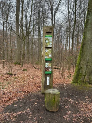 Lebensraum Wald  (Bild vergr&ouml;&szlig;ern)