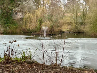 H&auml;lt den Teich eisfrei  (Bild vergr&ouml;&szlig;ern)