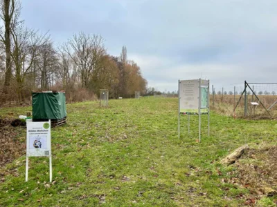 Wildes W&auml;ldchen  (Bild vergr&ouml;&szlig;ern)
