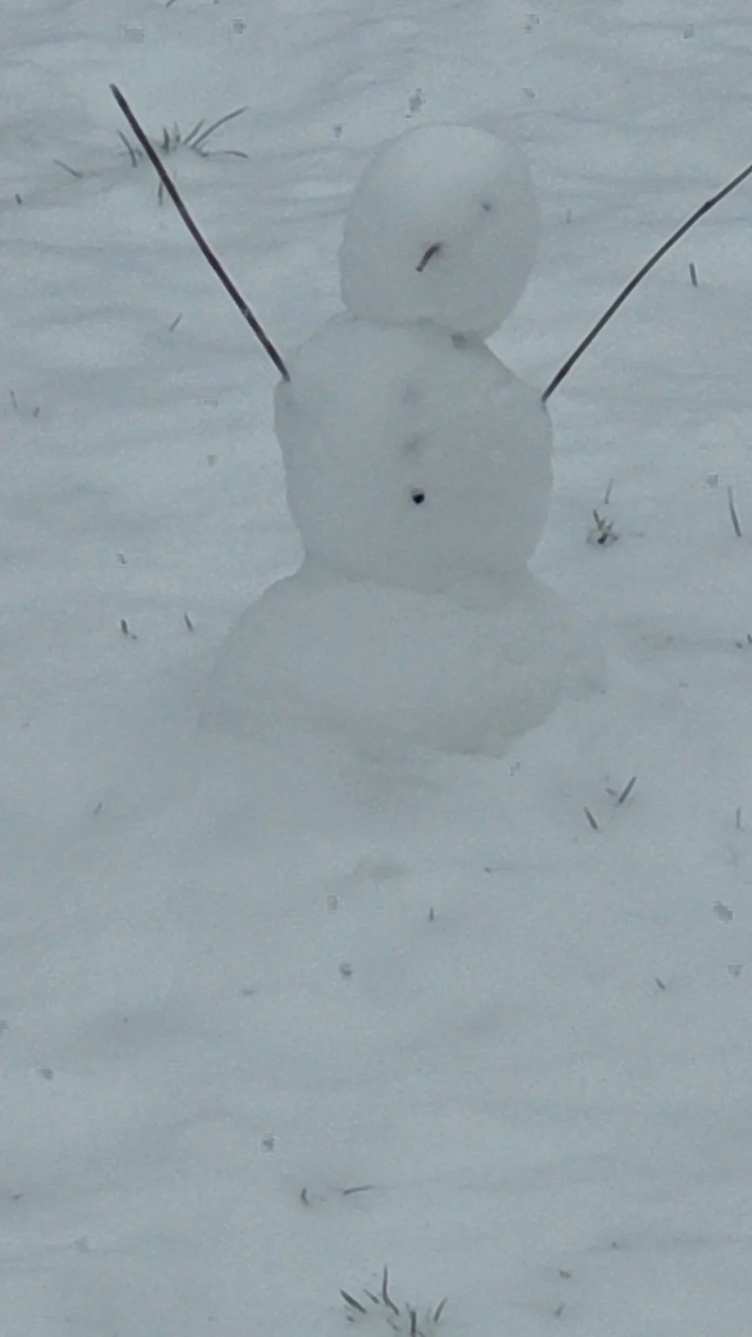 Bild: Schnee6