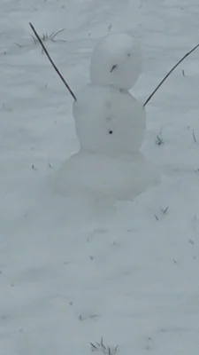 Schnee6  (Bild vergr&ouml;&szlig;ern)
