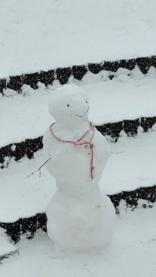 Schnee8  (Bild vergr&ouml;&szlig;ern)