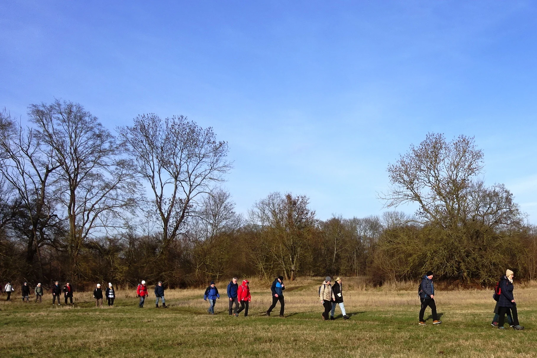 Bild: 3. Quer über die Polenzwiese (Foto W. Gelhaar)