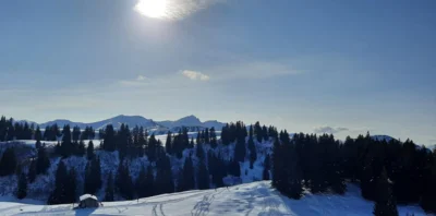 Foto des Albums: 2. Sonntag 2026