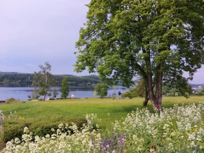 Foto des Albums: Impressionen vom Zeulenrodaer Meer (2025)