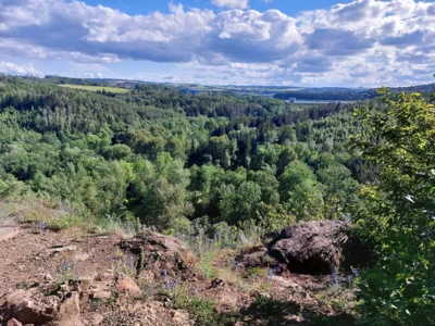Foto des Albums: Impressionen vom Zeulenrodaer Meer (2025)