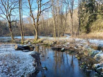 Foto des Albums: Impressionen vom Zeulenrodaer Meer (2025)