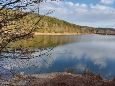 Foto des Albums: Impressionen vom Zeulenrodaer Meer (2025)