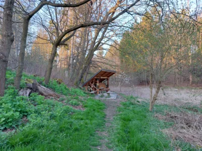 Foto des Albums: Impressionen vom Zeulenrodaer Meer (2025)
