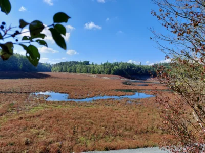 Foto des Albums: Impressionen vom Zeulenrodaer Meer (2025)