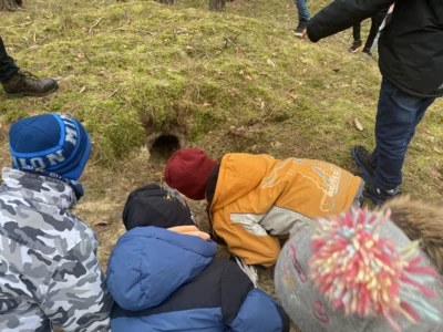 Foto des Albums: Spuren in der Natur 21.+23.01.26