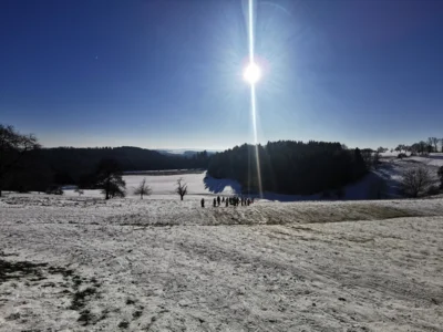 Foto des Albums: Wintersporttag Tiger