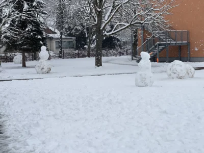 Foto des Albums: Schneegestalten