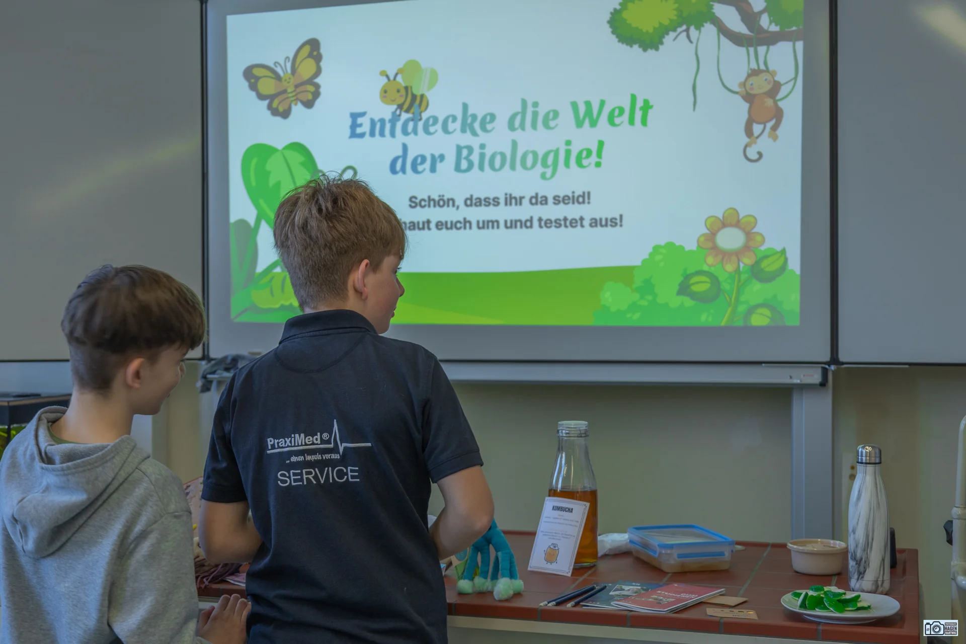 Bild der Galerie