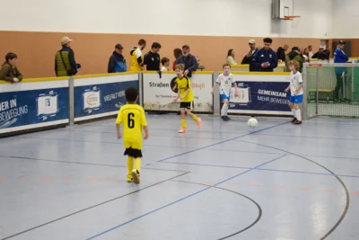 Foto des Albums: Hallenturnier Prösen F-Junioren