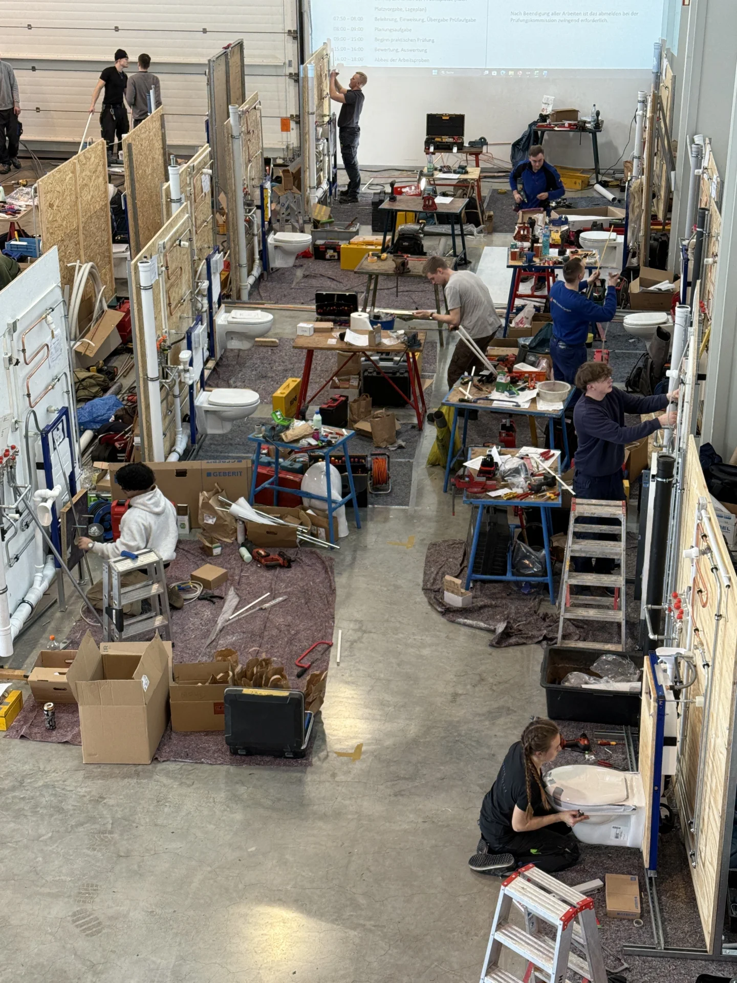 Bild der Galerie