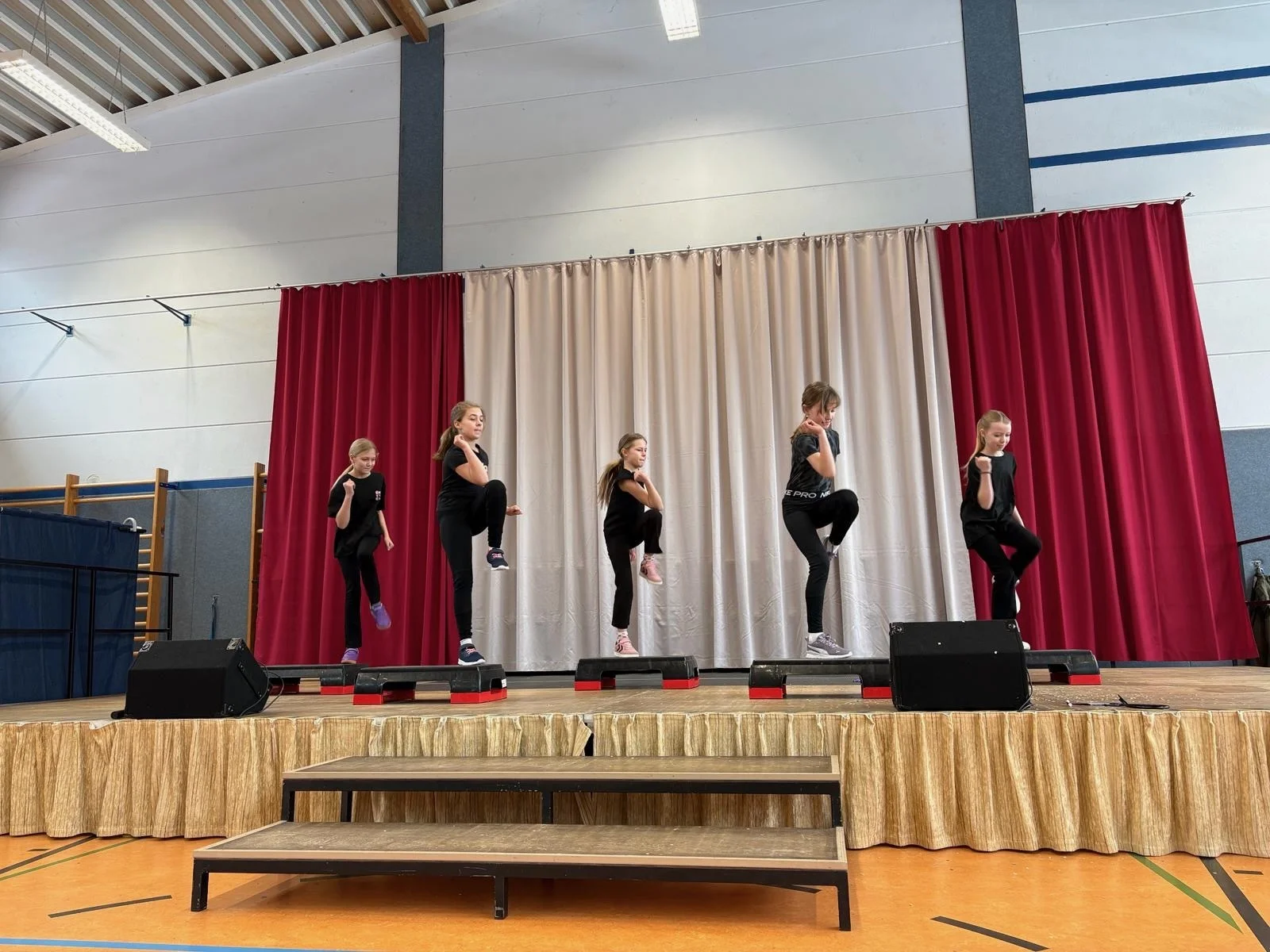 Bild: AG Stepp-Aerobic