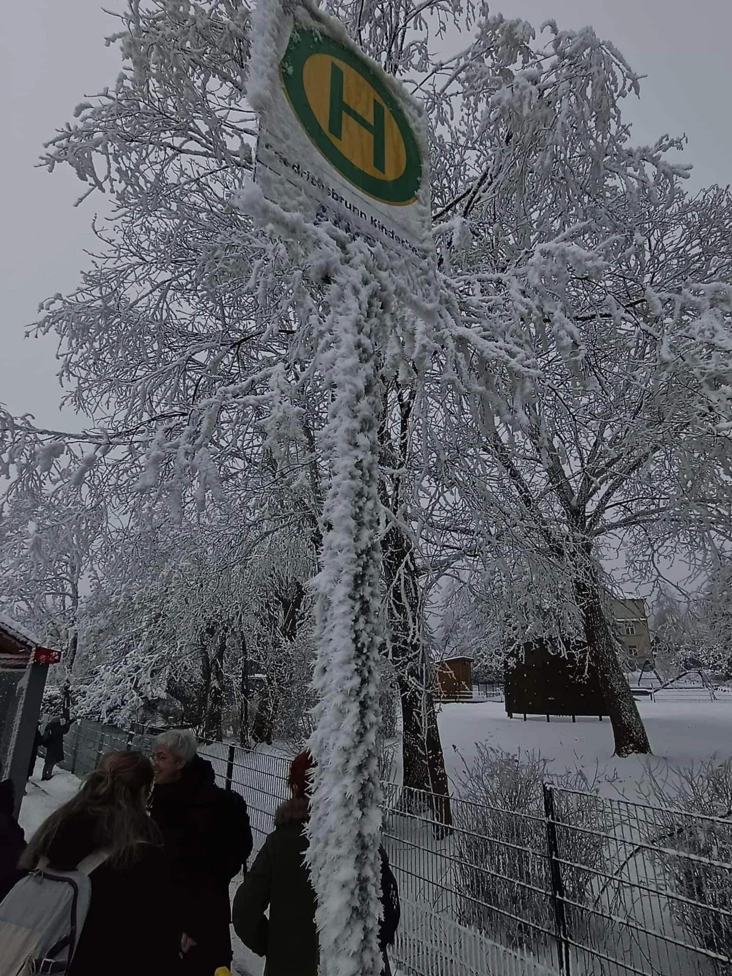 Bild: noch mehr Winter in Friedrichsbrunn
