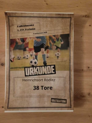 Foto des Albums: F-Juniorinnen zum Turnier in Dresden