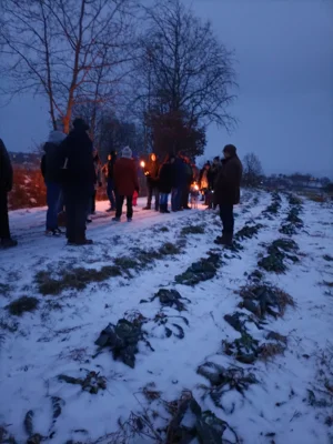 Foto des Albums: Fackelwanderung