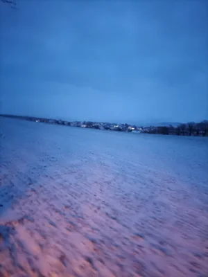 Foto des Albums: Fackelwanderung