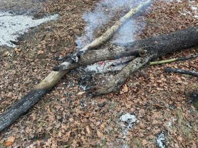 Foto des Albums: Lagerfeuer Weinbergstrasse