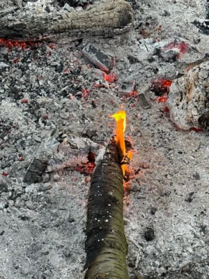 Foto des Albums: Lagerfeuer Weinbergstrasse
