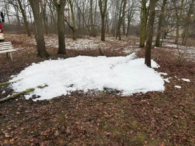 Foto des Albums: Lagerfeuer Weinbergstrasse