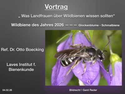 Foto des Albums: Lesser LandFrauen und die Wildbienen