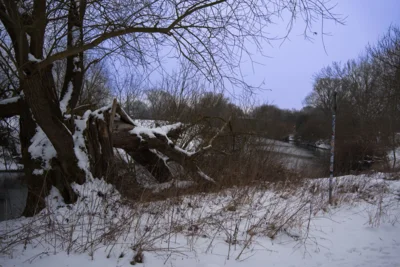 Leine im Winter  (Bild vergr&ouml;&szlig;ern)