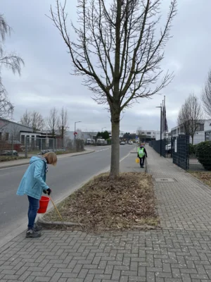 Foto des Albums: CleanUp Hürth auf der Winterstraße