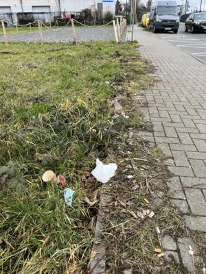 Foto des Albums: CleanUp Hürth auf der Winterstraße
