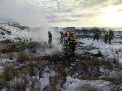 Vegetationsbrandbek&auml;mpfung  (Bild vergr&ouml;&szlig;ern)
