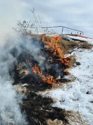 Fl&auml;chenbrand  (Bild vergr&ouml;&szlig;ern)