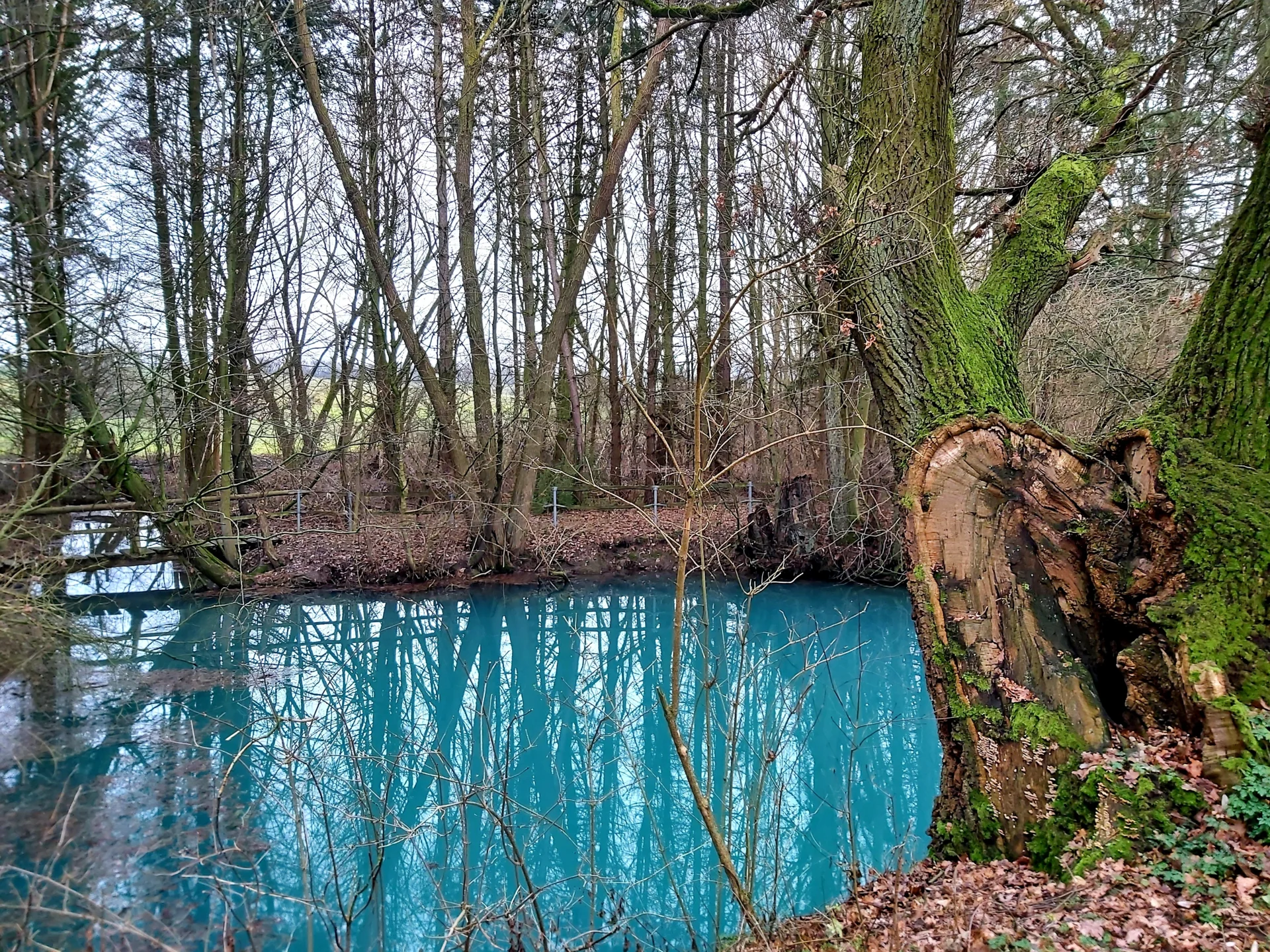Bild : Kainsprung_01.24 (H. Hochheim)