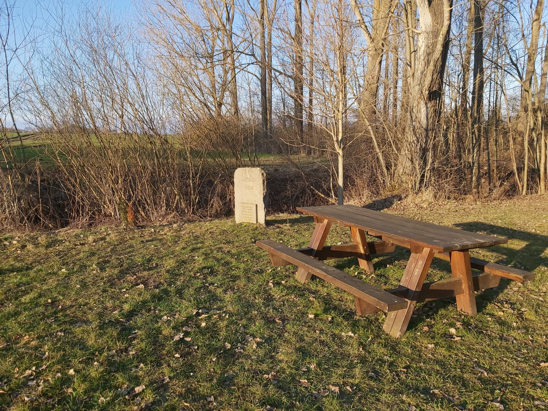 Bild : Dorfstelle Kogen nahe Kainsprung_03.21
