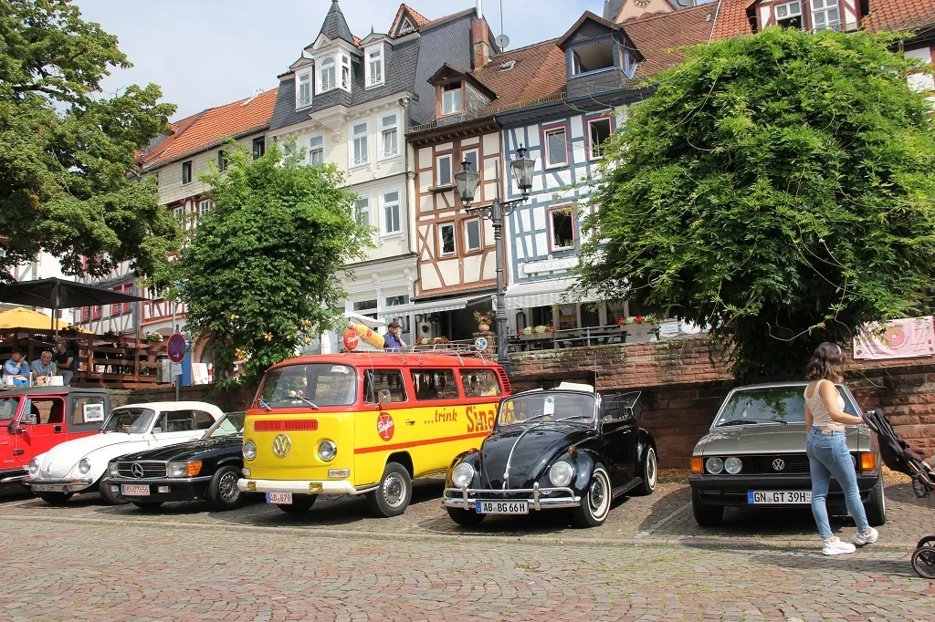 Bild der Galerie