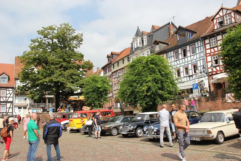 Bild der Galerie