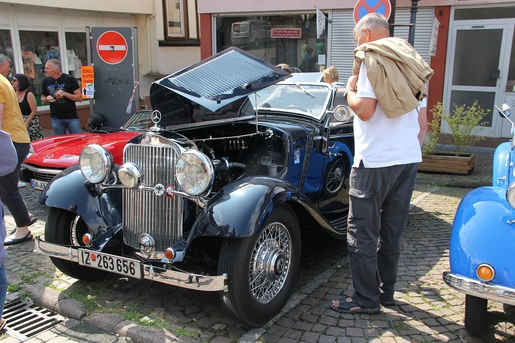 Bild der Galerie