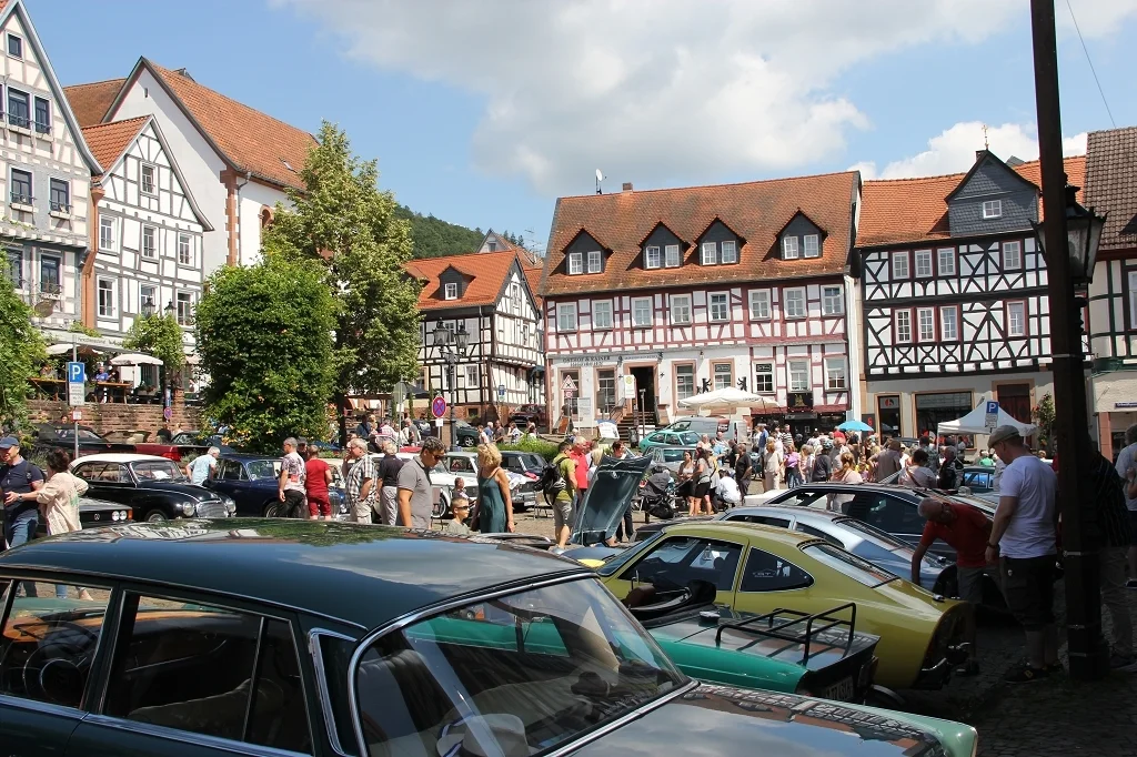 Bild der Galerie
