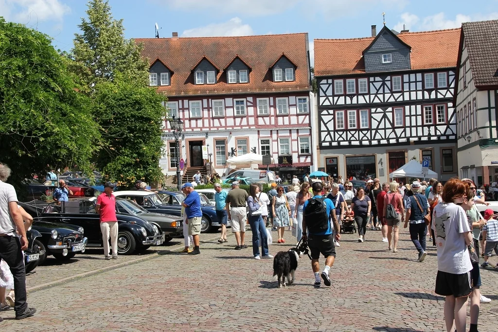 Bild der Galerie