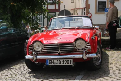 Foto des Albums: Alles uff die Gass 2024
