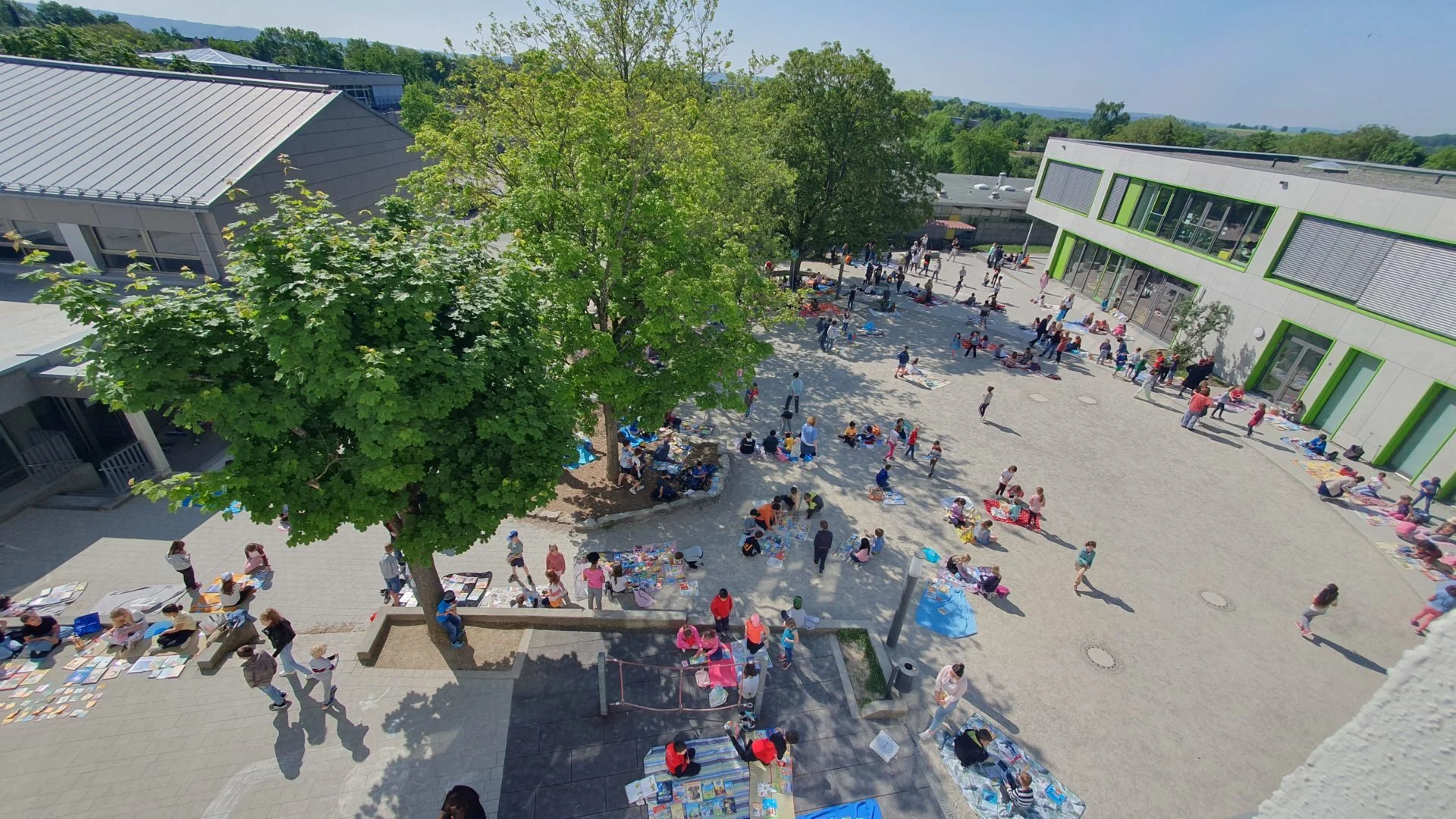 Bild der Galerie