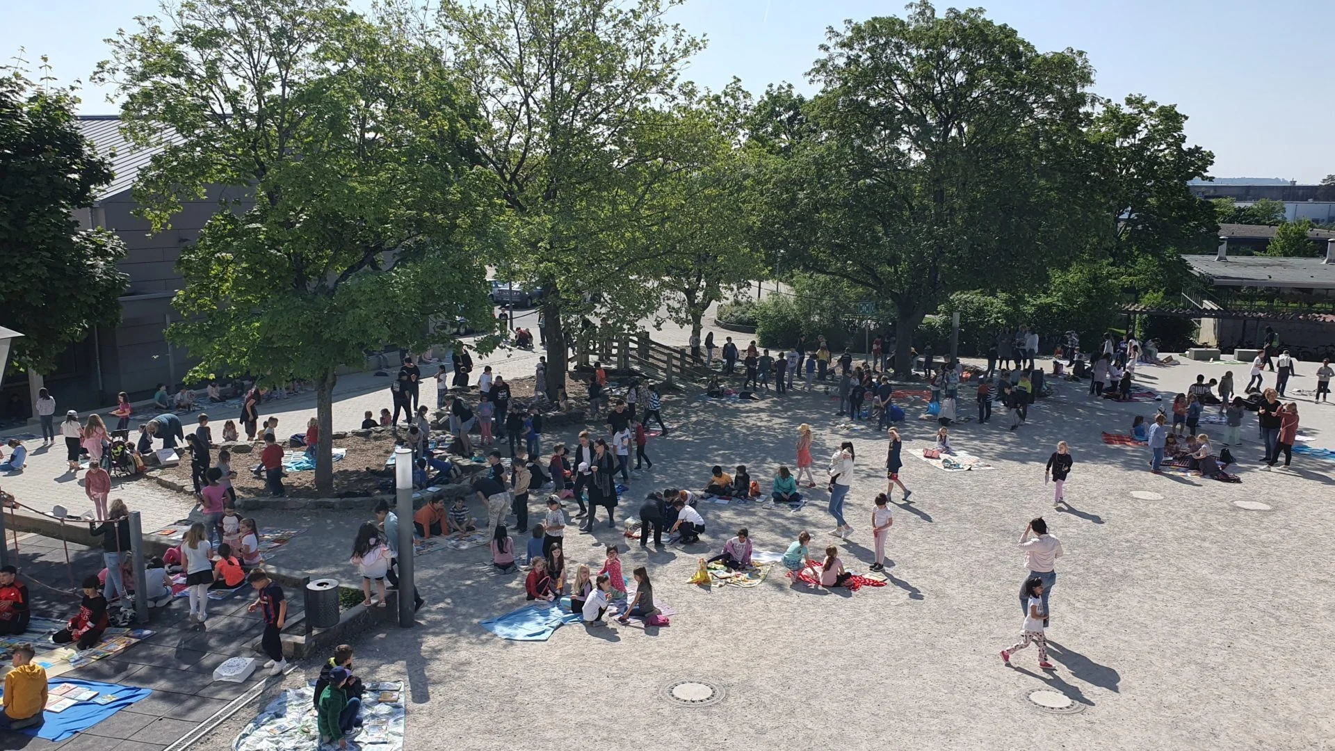 Bild der Galerie